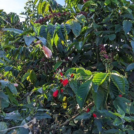 Ferienwohnung Ivy Coffee Farm - Garden House Duc Trong Exterior foto