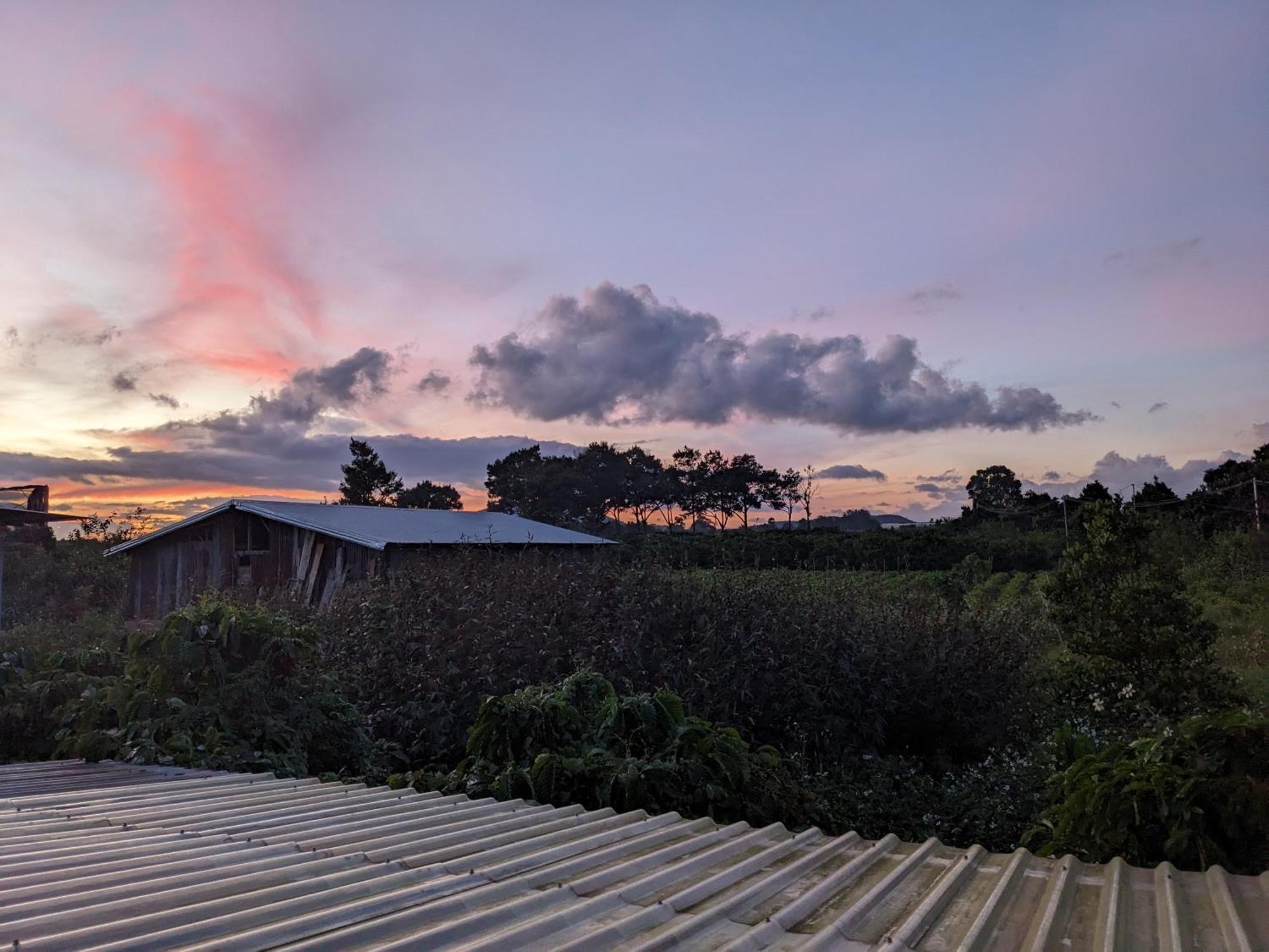 Ferienwohnung Ivy Coffee Farm - Garden House Duc Trong Zimmer foto