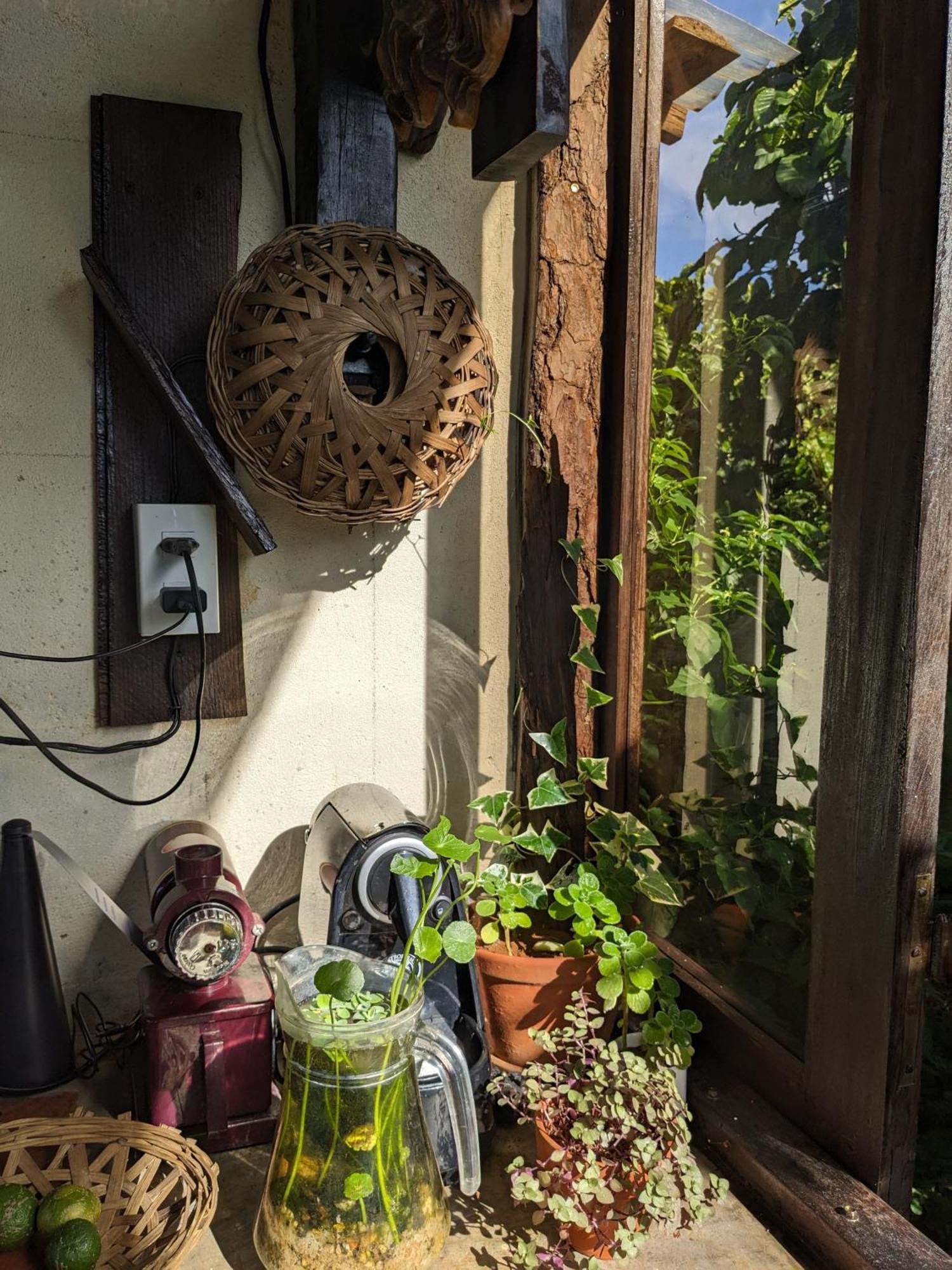 Ferienwohnung Ivy Coffee Farm - Garden House Duc Trong Exterior foto