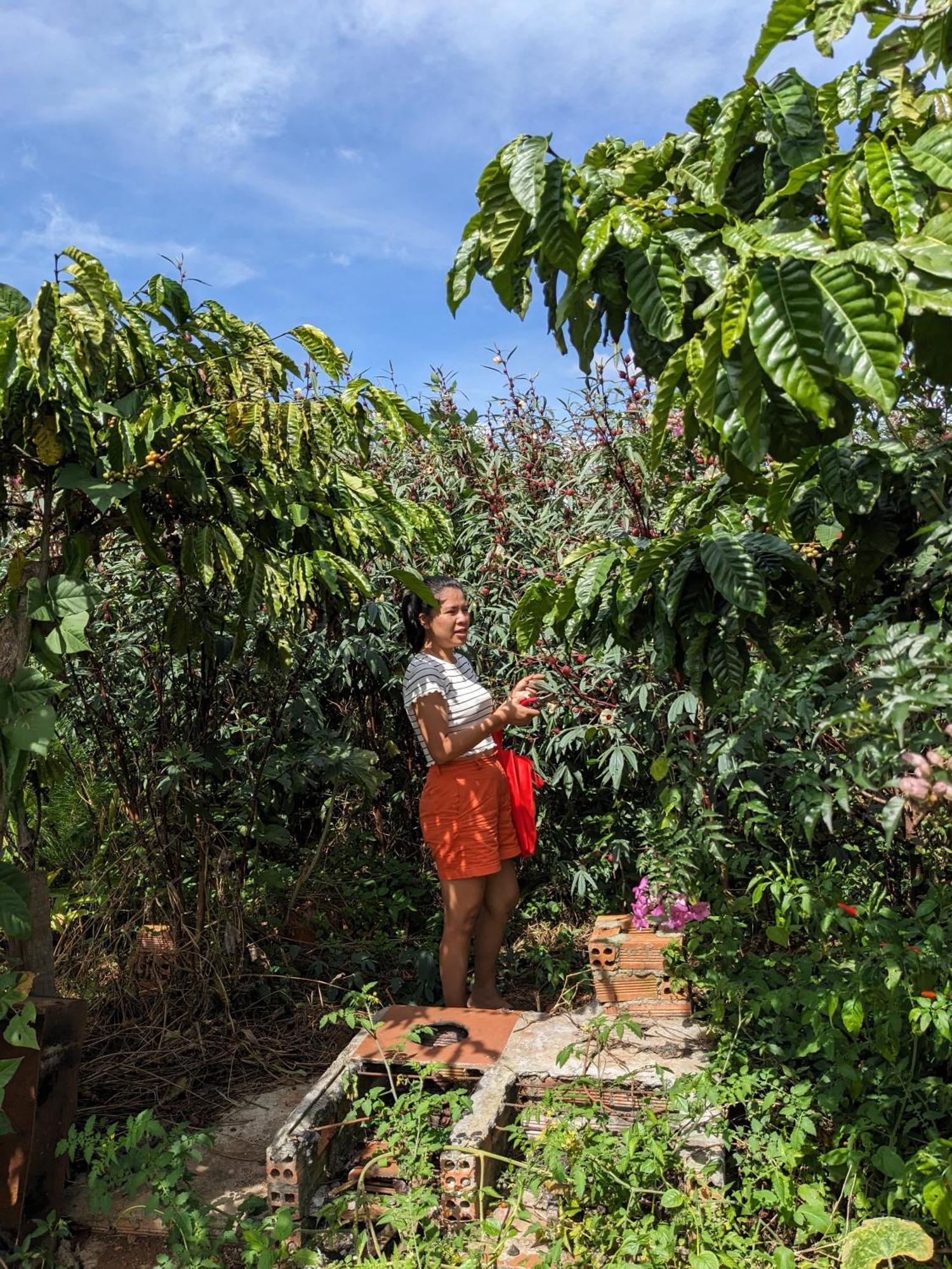 Ferienwohnung Ivy Coffee Farm - Garden House Duc Trong Exterior foto