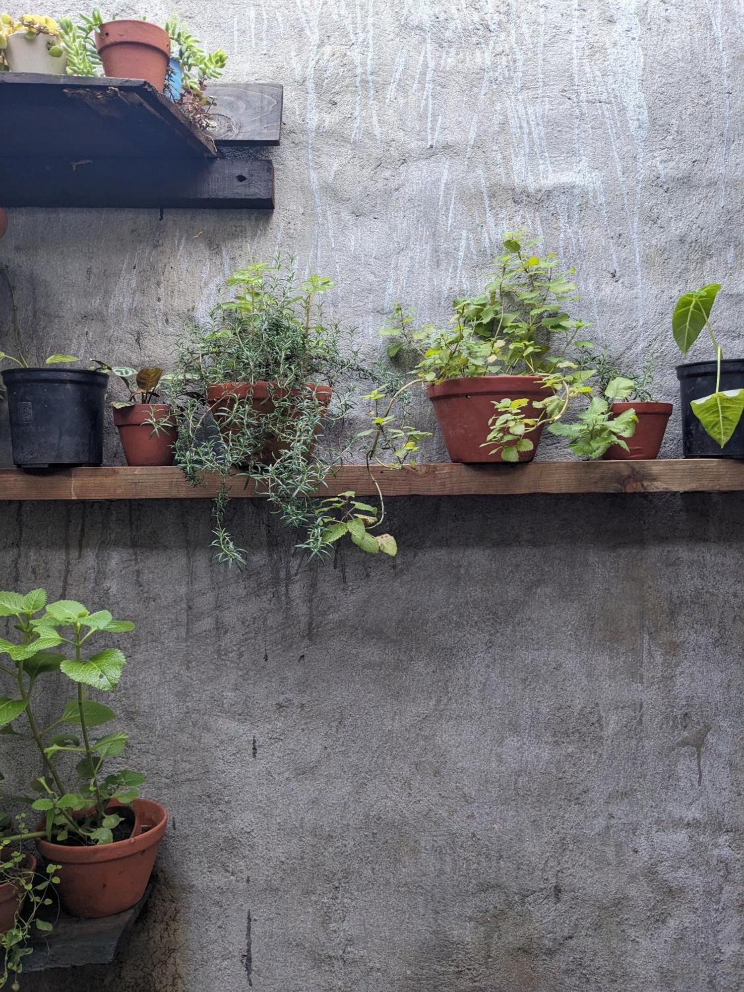 Ferienwohnung Ivy Coffee Farm - Garden House Duc Trong Exterior foto