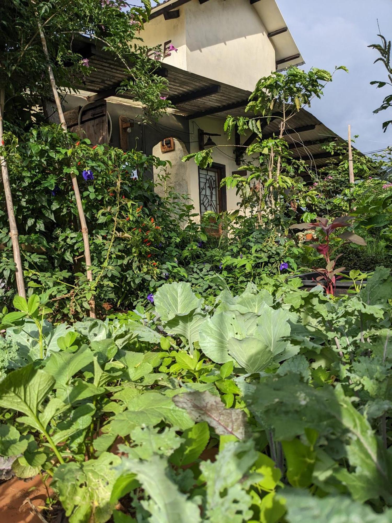 Ferienwohnung Ivy Coffee Farm - Garden House Duc Trong Exterior foto