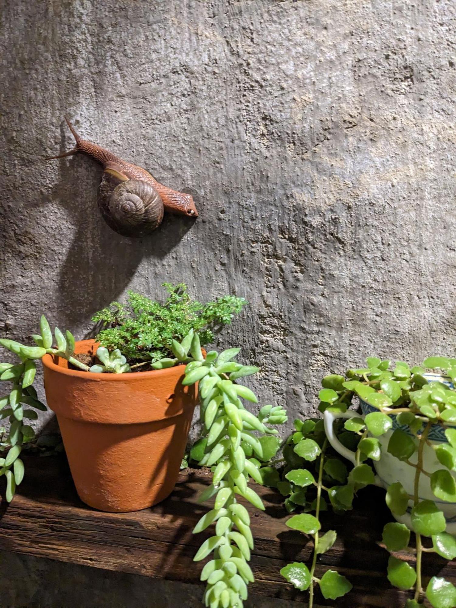Ferienwohnung Ivy Coffee Farm - Garden House Duc Trong Exterior foto